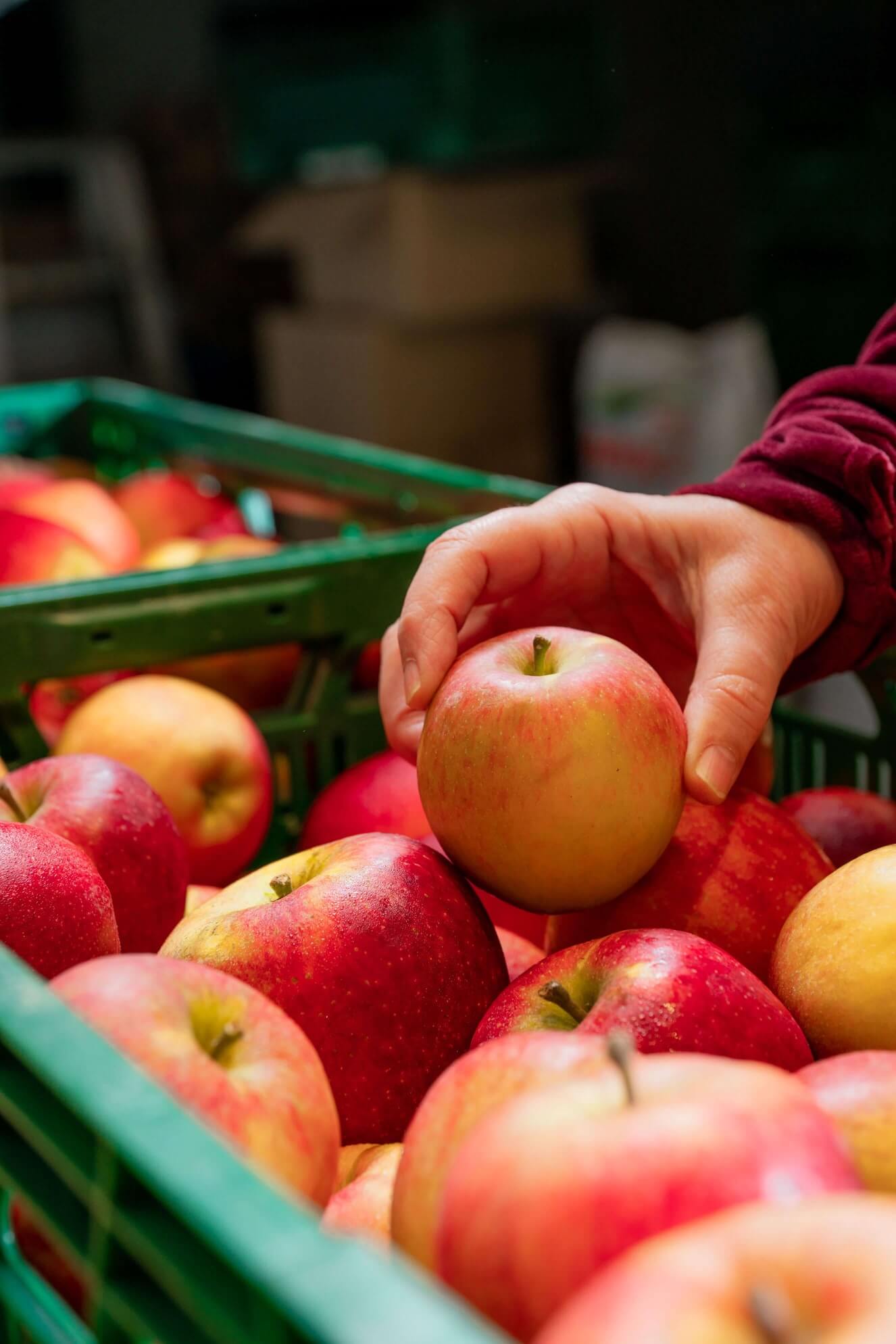 client selectionne une pomme rouge dans un casier de pommes